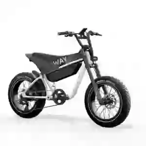 Himiway C5 | Premium Moped Style E-Bike